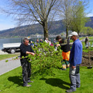 114_3541_JPG-1335132726