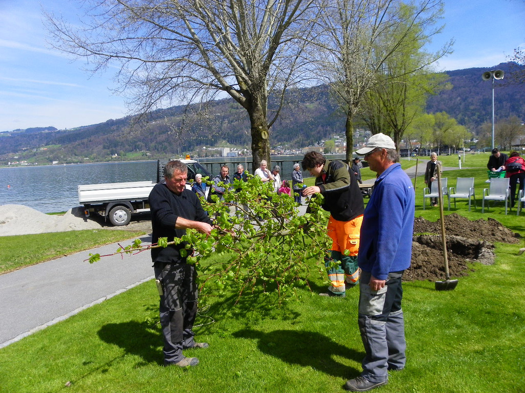 114_3541_JPG-1335132726