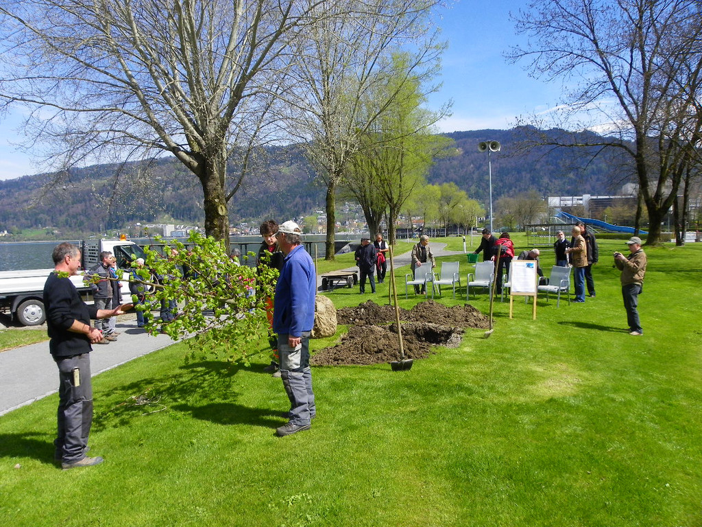 114_3542_JPG-1335132732