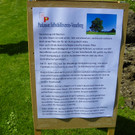 114_3543_JPG-1335132737