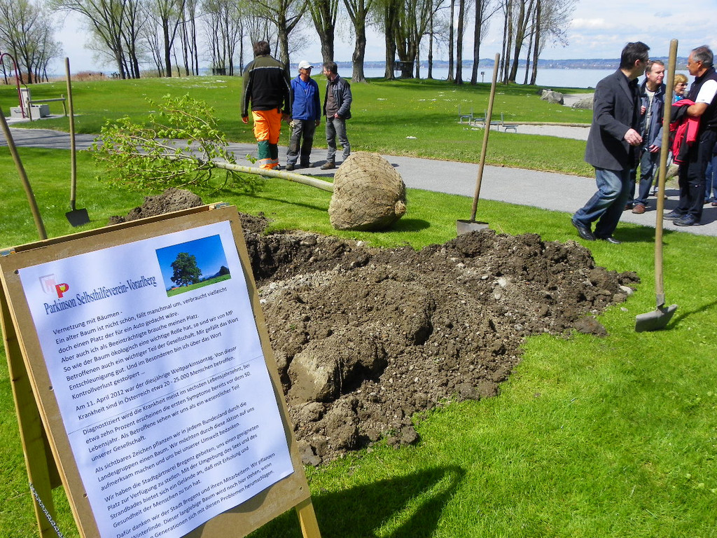 114_3544_JPG-1335132744