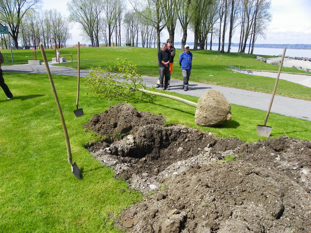 114_3552_JPG-1335132787