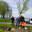 114_3571_JPG-1335132853