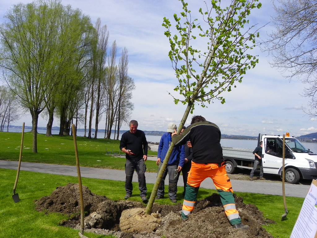 114_3571_JPG-1335132853