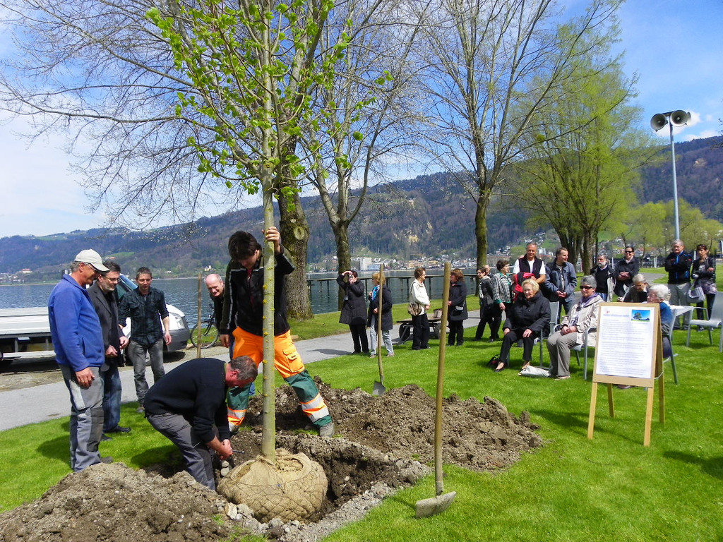 114_3573_JPG-1335132860