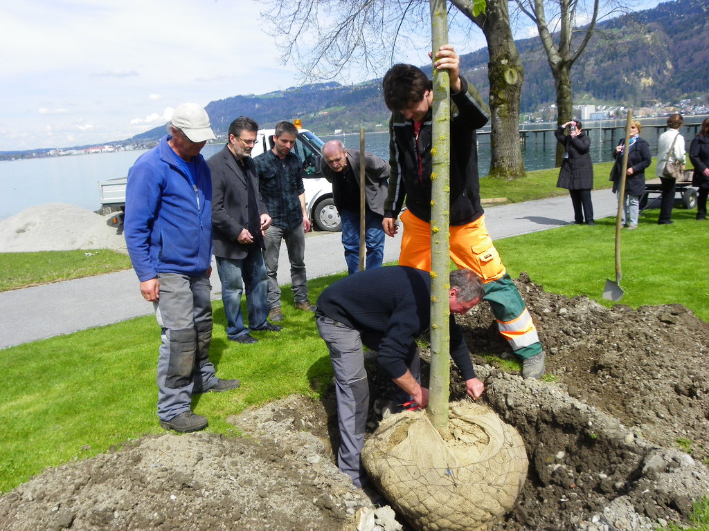 114_3574_JPG-1335132866