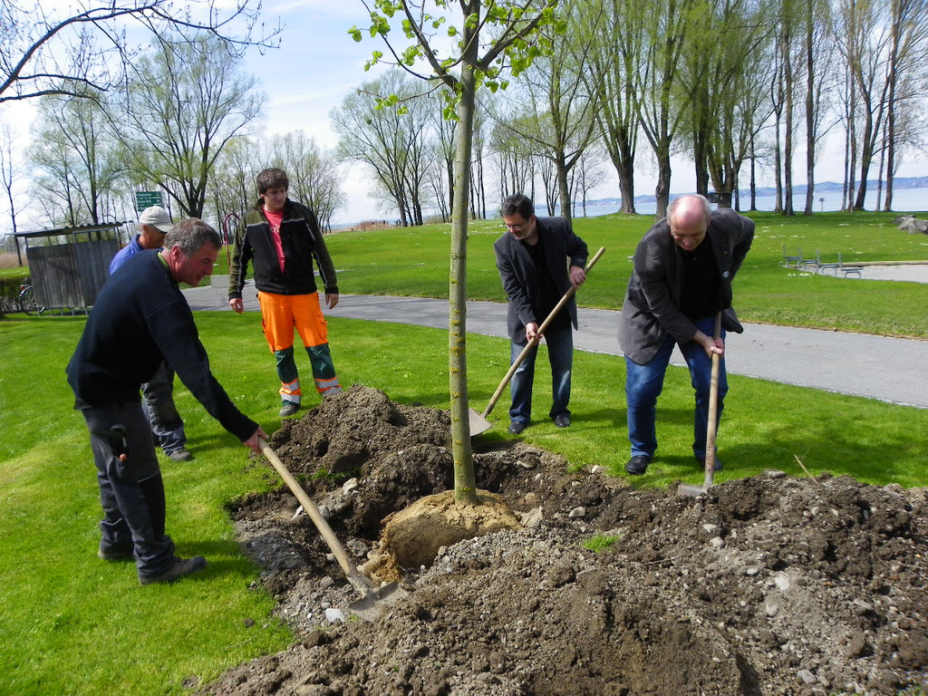 114_3578_JPG-1335132878