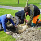 114_3575_JPG-1335132872