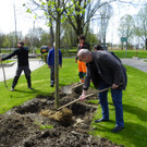 114_3579_JPG-1335132884