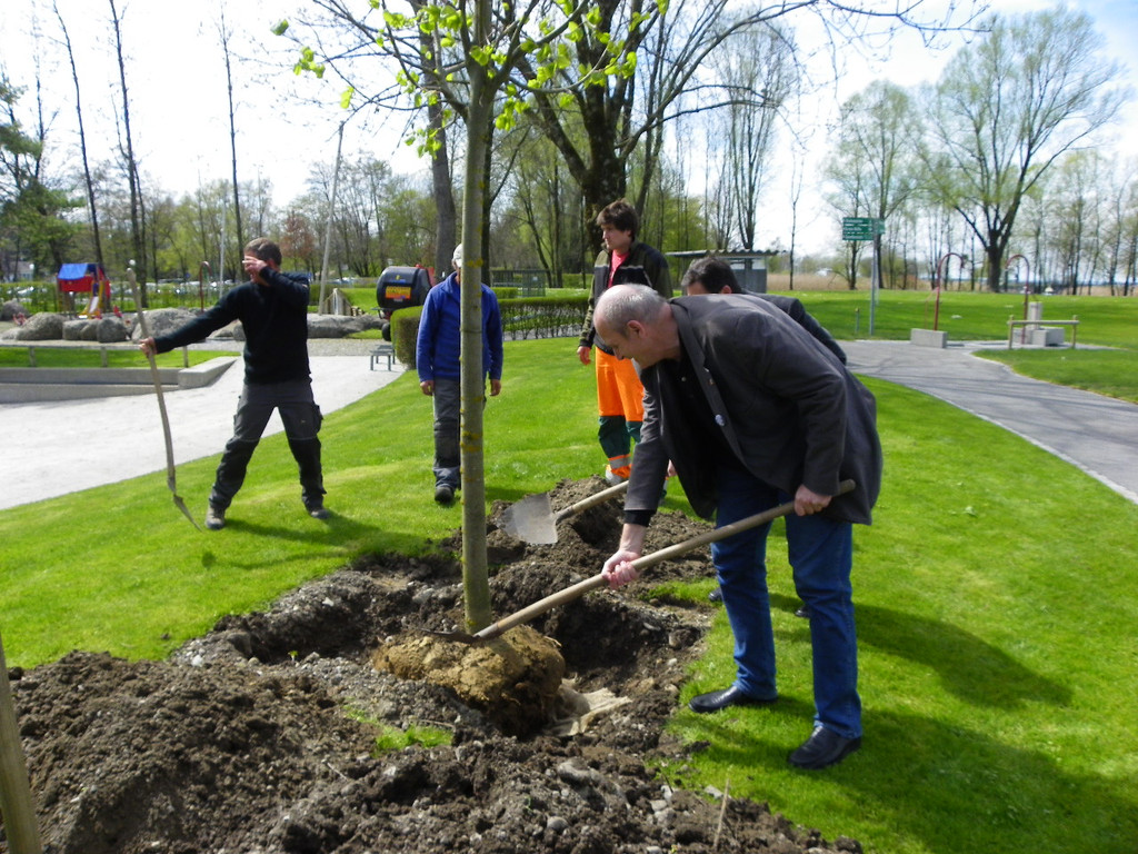 114_3579_JPG-1335132884