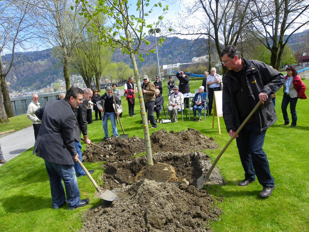 114_3580_JPG-1335132890