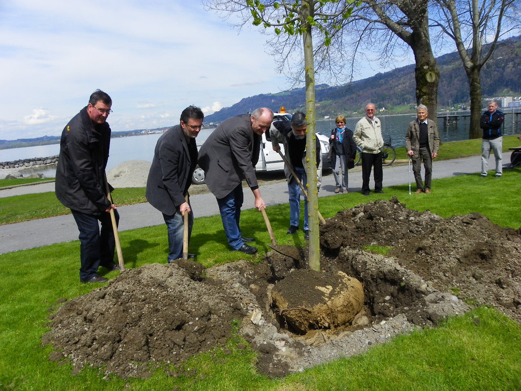 114_3581_JPG-1335132896