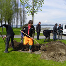 114_3587_JPG-1335132915