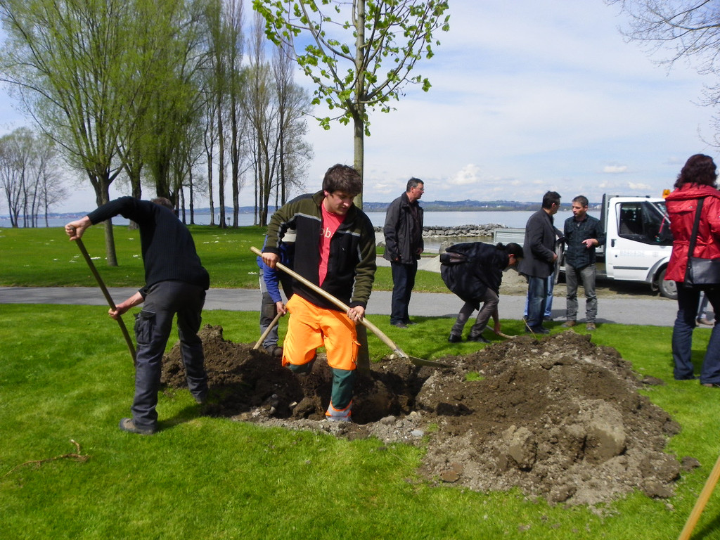 114_3587_JPG-1335132915