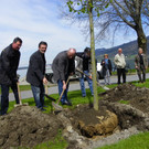 114_3582_JPG-1335132902