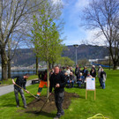 114_3592_JPG-1335132921