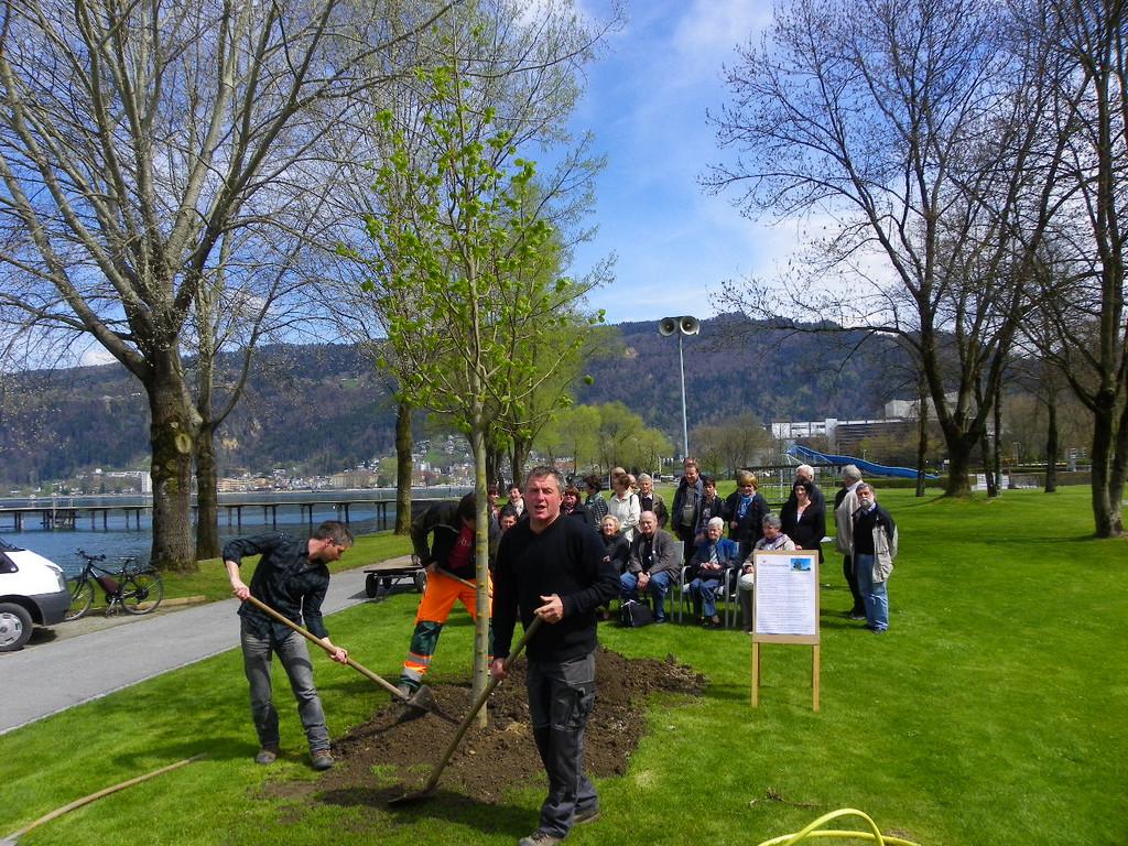 114_3592_JPG-1335132921