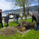 114_3584_JPG-1335132909