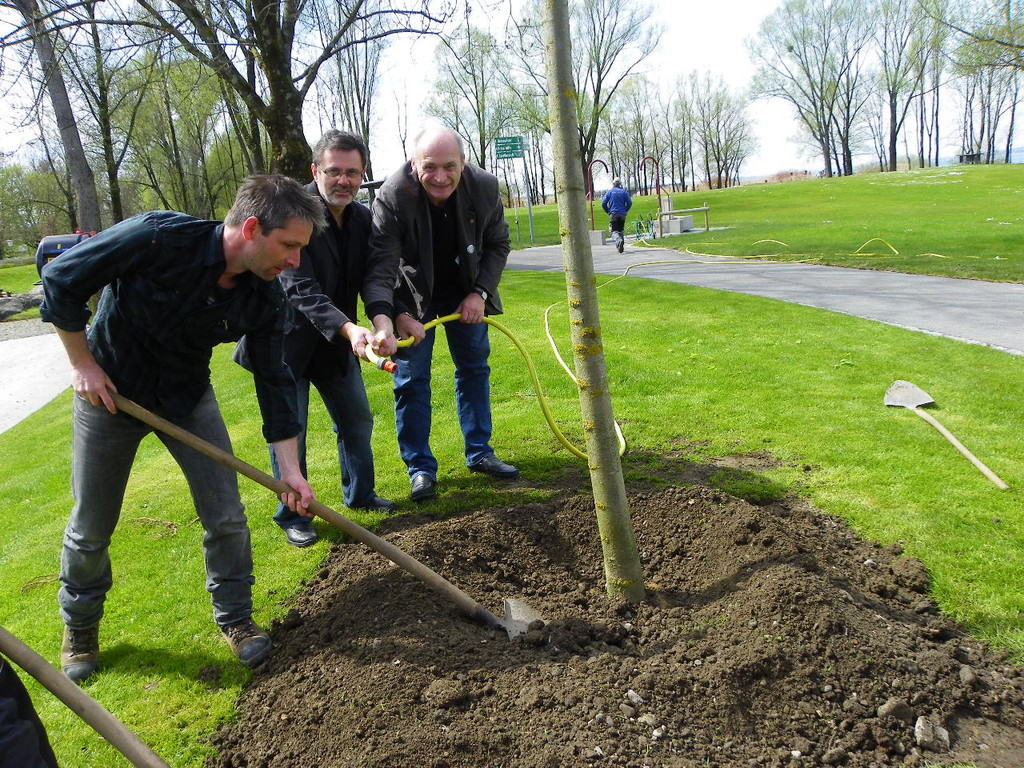 114_3597_JPG-1335132951