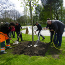 114_3604_JPG-1335132975