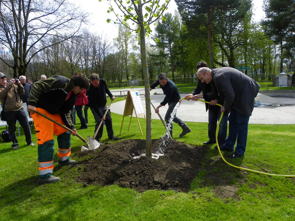 114_3604_JPG-1335132975