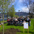 114_3596_JPG-1335132945