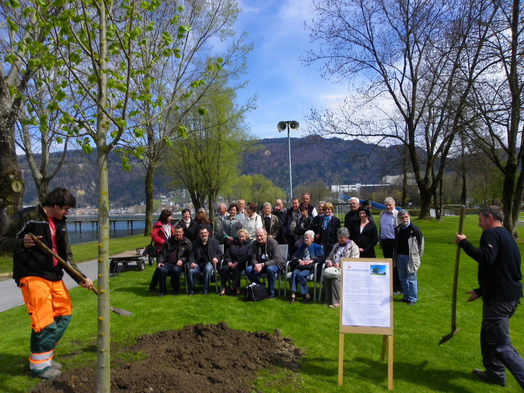 114_3596_JPG-1335132945