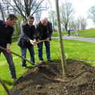 114_3598_JPG-1335132957