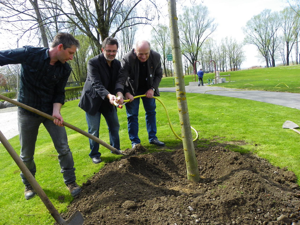 114_3598_JPG-1335132957