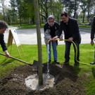 114_3606_JPG-1335132982