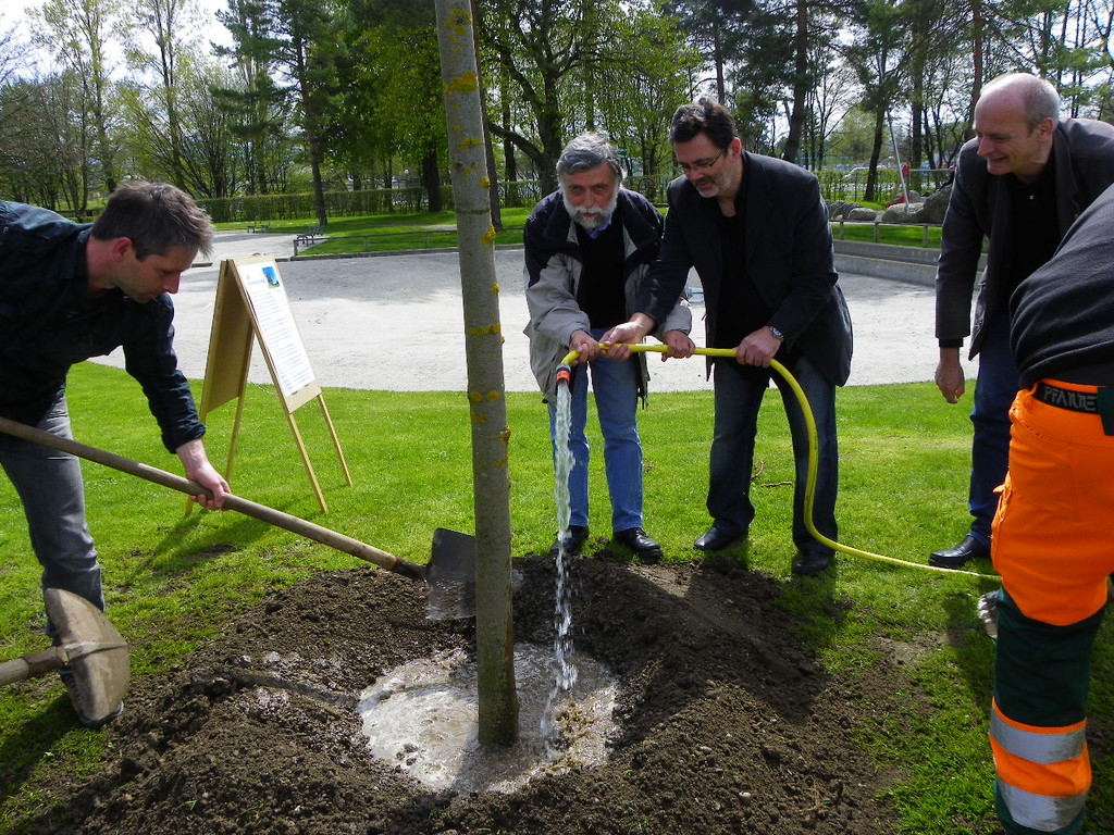 114_3606_JPG-1335132982