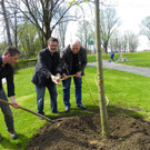 114_3599_JPG-1335132963