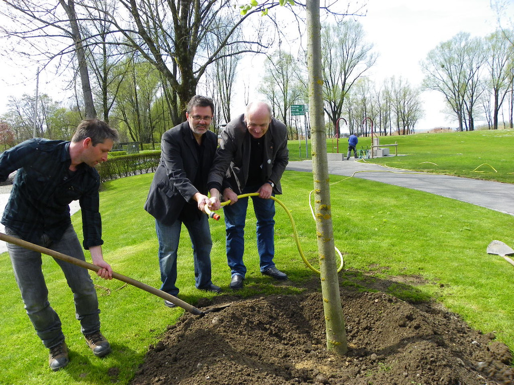 114_3599_JPG-1335132963