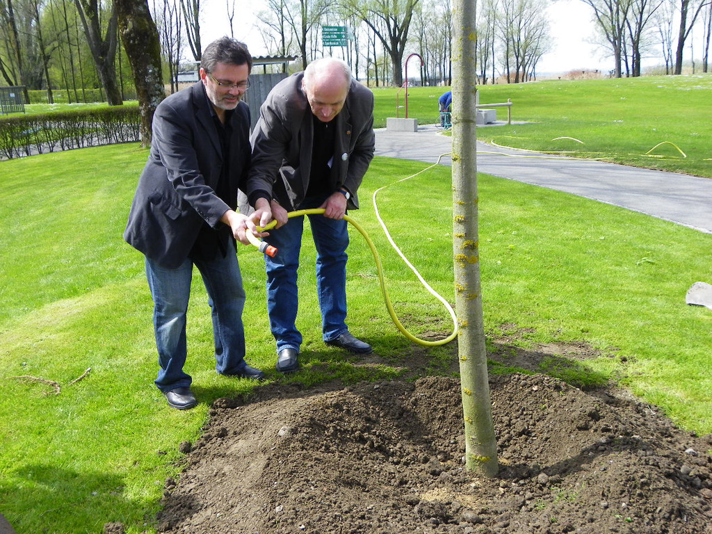 114_3601_JPG-1335132969