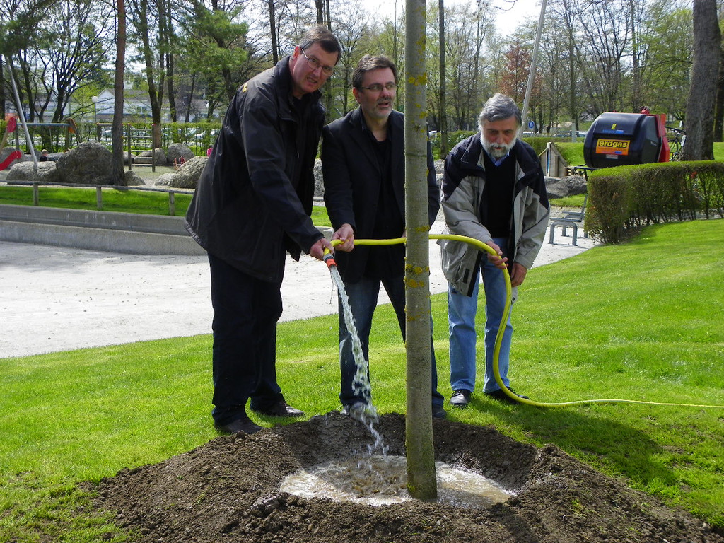 114_3607_JPG-1335132988