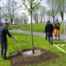 114_3609_JPG-1335132994