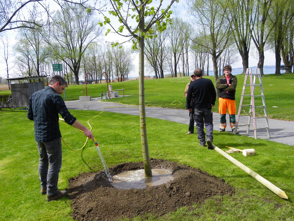 114_3609_JPG-1335132994