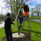 114_3614_JPG-1335133000