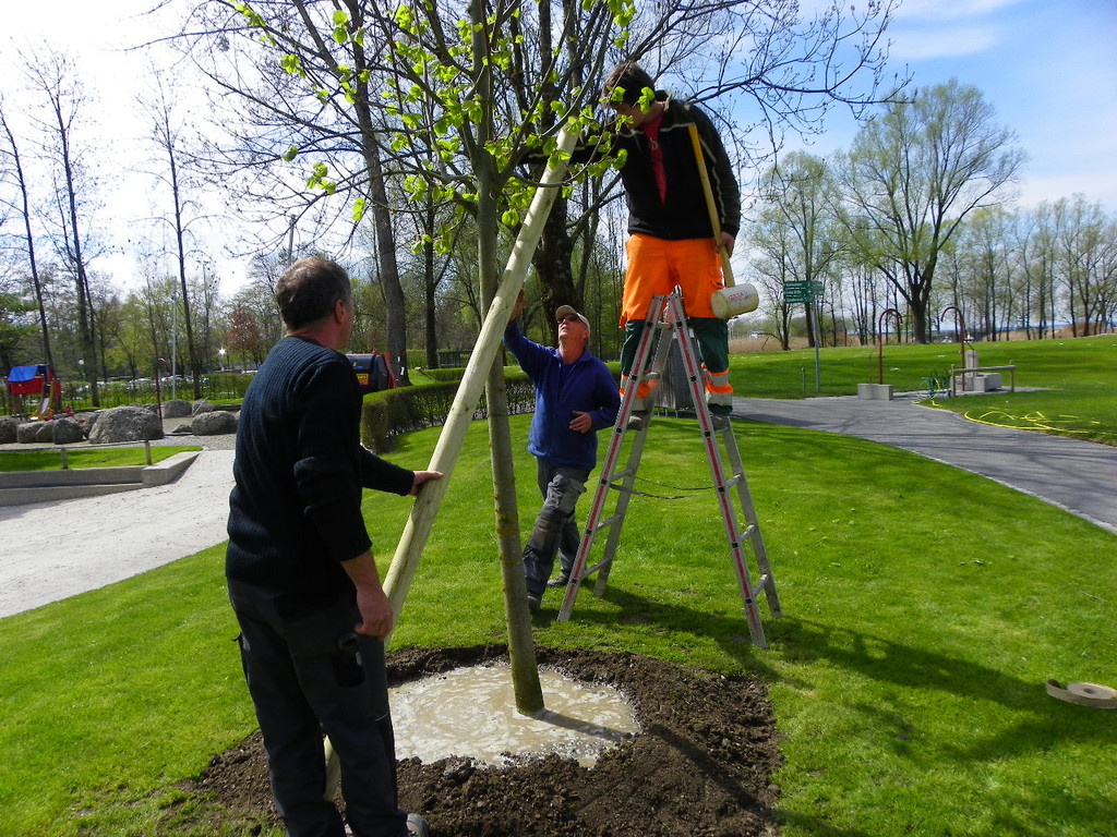 114_3614_JPG-1335133000