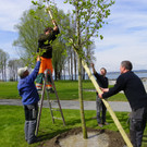 114_3619_JPG-1335133006