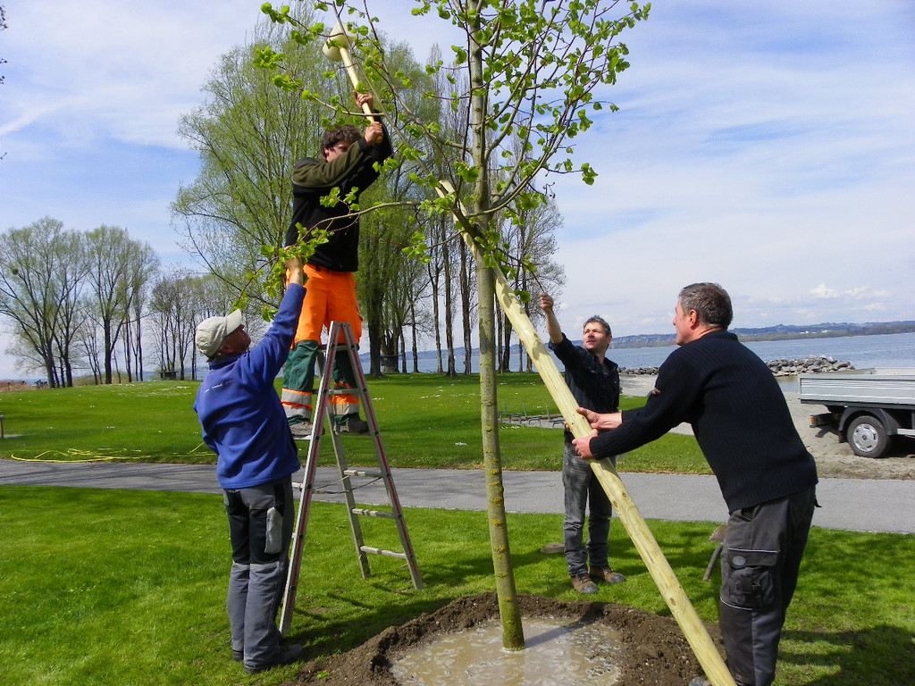 114_3619_JPG-1335133006