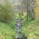Neunteln7bBach_jpg-1335173178