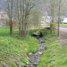 Neuntel12Bach_jpg-1335173223