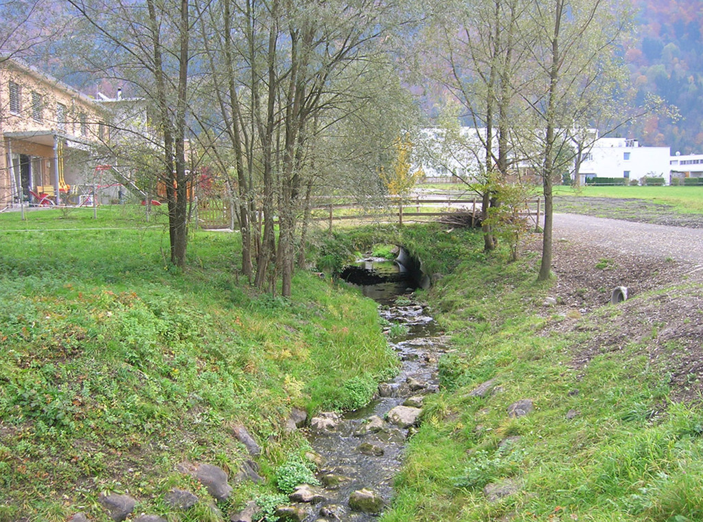 Neuntel12Bach_jpg-1335173223