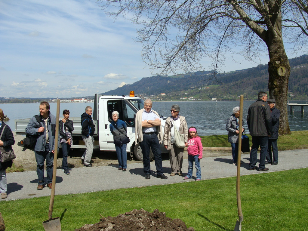 lBaumpflanzen 030.jpg