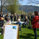 lBaumpflanzen 038.jpg