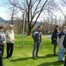 lBaumpflanzen 044.jpg