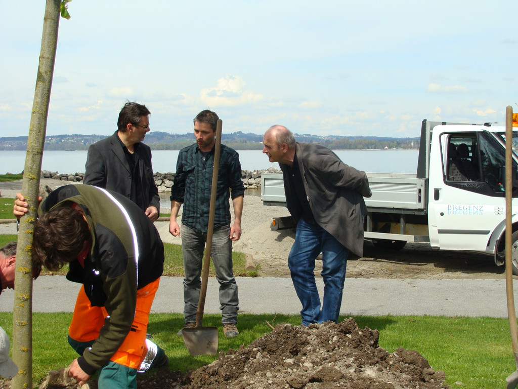 lBaumpflanzen 051.jpg