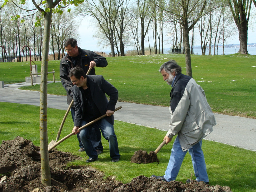 lBaumpflanzen 056.jpg