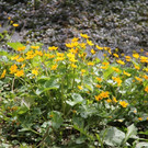 IMG_9165_JPG-1335175372
